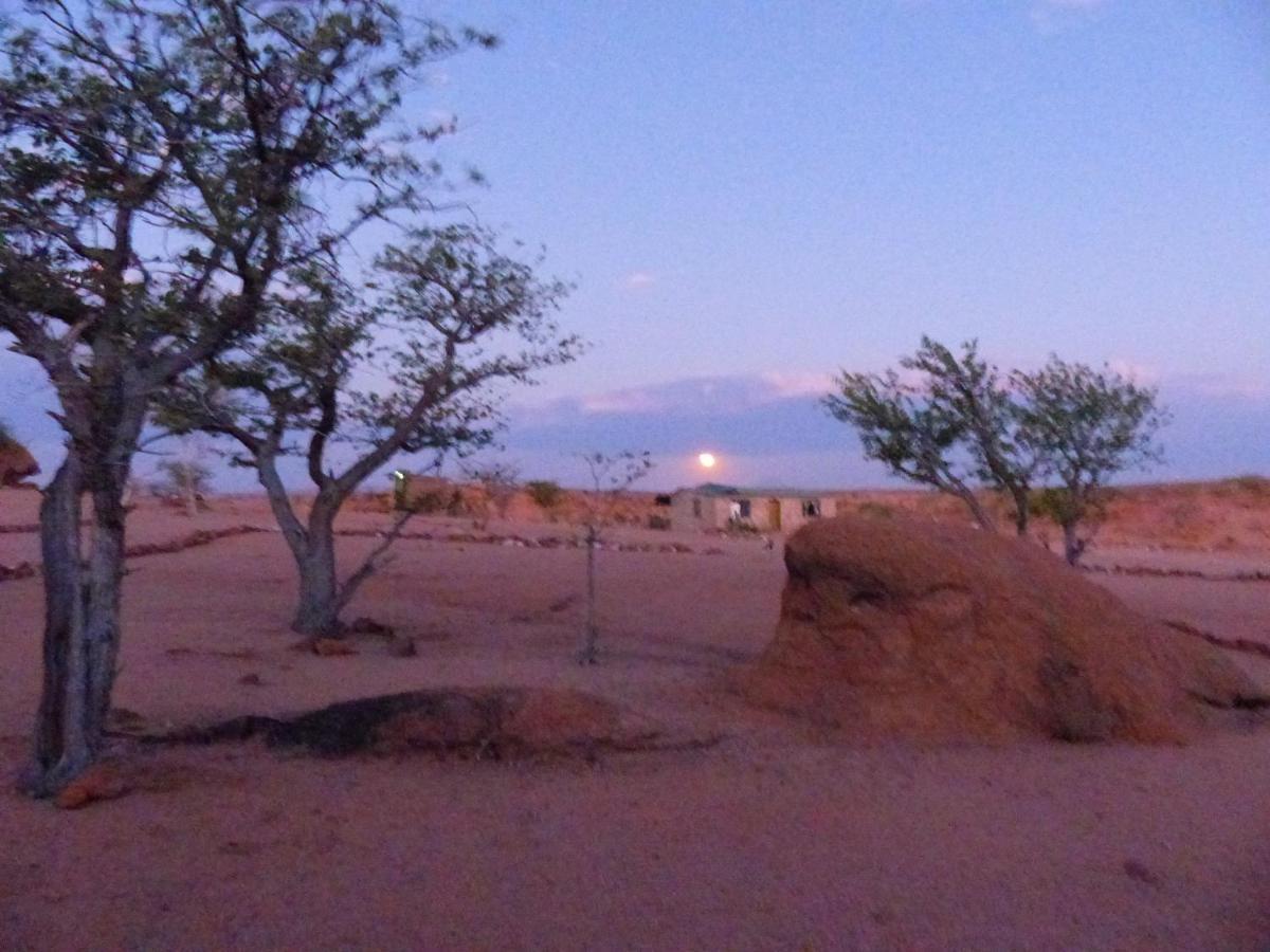 Ozohere Campsite And Himba Village Uis المظهر الخارجي الصورة